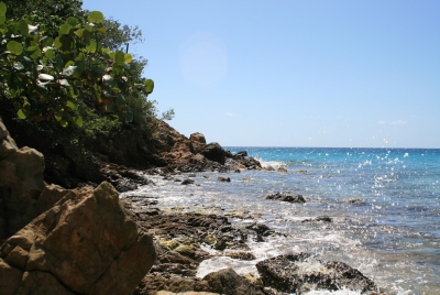 St Kitts 2008